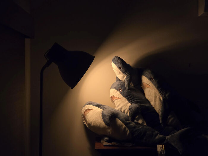 111 Times People Took A Photograph Only To Realize They’d Captured A Renaissance Masterpiece (New Pics) 111 Times People Took A Photograph Only To Realize They’d Captured A Renaissance Masterpiece (New Pics)