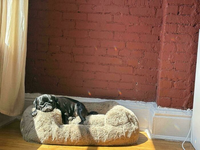 111 Times People Took A Photograph Only To Realize They’d Captured A Renaissance Masterpiece (New Pics) 111 Times People Took A Photograph Only To Realize They’d Captured A Renaissance Masterpiece (New Pics)