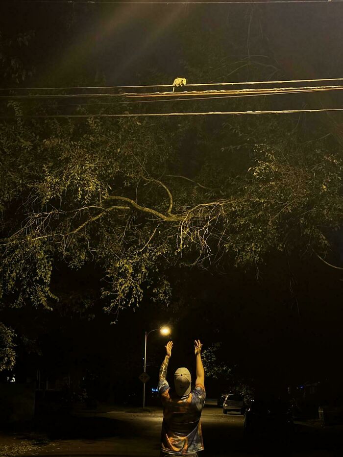 111 Times People Took A Photograph Only To Realize They’d Captured A Renaissance Masterpiece (New Pics) 111 Times People Took A Photograph Only To Realize They’d Captured A Renaissance Masterpiece (New Pics)