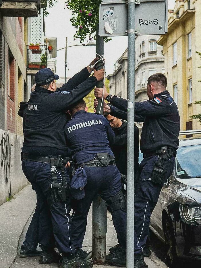 111 Times People Took A Photograph Only To Realize They’d Captured A Renaissance Masterpiece (New Pics) 111 Times People Took A Photograph Only To Realize They’d Captured A Renaissance Masterpiece (New Pics)