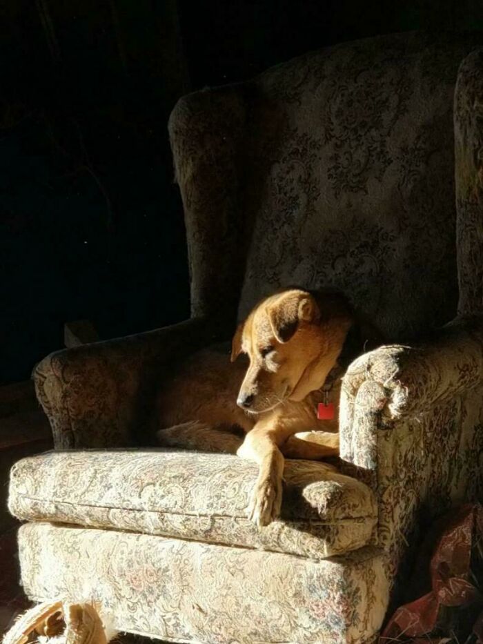 111 Times People Took A Photograph Only To Realize They’d Captured A Renaissance Masterpiece (New Pics) 111 Times People Took A Photograph Only To Realize They’d Captured A Renaissance Masterpiece (New Pics)