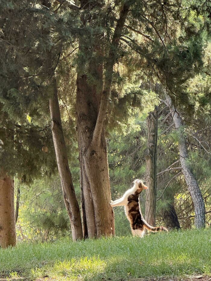 111 Times People Took A Photograph Only To Realize They’d Captured A Renaissance Masterpiece (New Pics) 111 Times People Took A Photograph Only To Realize They’d Captured A Renaissance Masterpiece (New Pics)