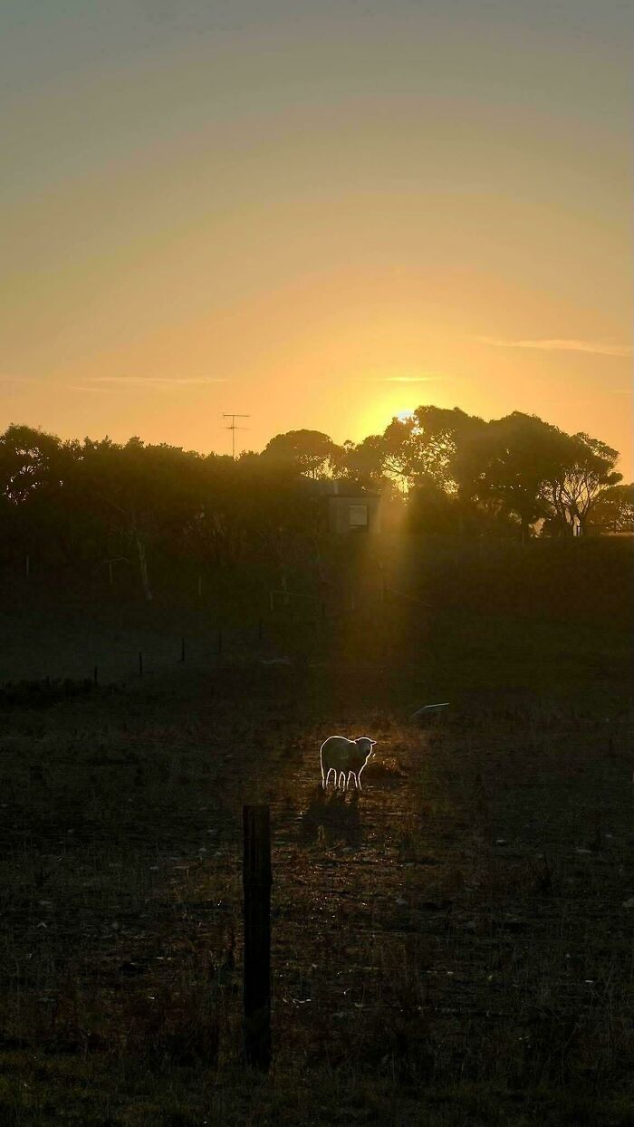 111 Times People Took A Photograph Only To Realize They’d Captured A Renaissance Masterpiece (New Pics) 111 Times People Took A Photograph Only To Realize They’d Captured A Renaissance Masterpiece (New Pics)