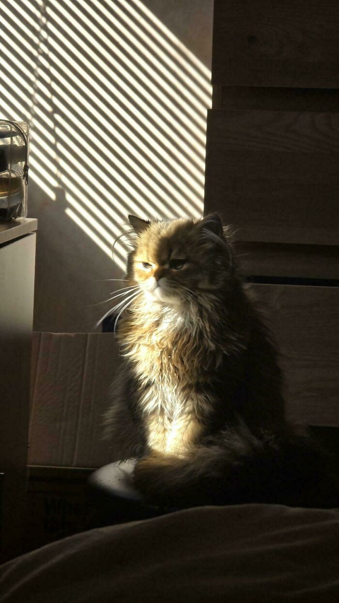 111 Times People Took A Photograph Only To Realize They’d Captured A Renaissance Masterpiece (New Pics) 111 Times People Took A Photograph Only To Realize They’d Captured A Renaissance Masterpiece (New Pics)