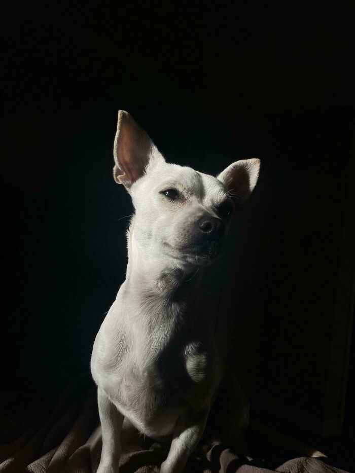 111 Times People Took A Photograph Only To Realize They’d Captured A Renaissance Masterpiece (New Pics) 111 Times People Took A Photograph Only To Realize They’d Captured A Renaissance Masterpiece (New Pics)