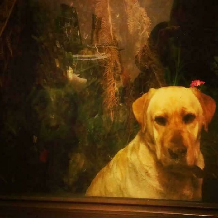 111 Times People Took A Photograph Only To Realize They’d Captured A Renaissance Masterpiece (New Pics) 111 Times People Took A Photograph Only To Realize They’d Captured A Renaissance Masterpiece (New Pics)