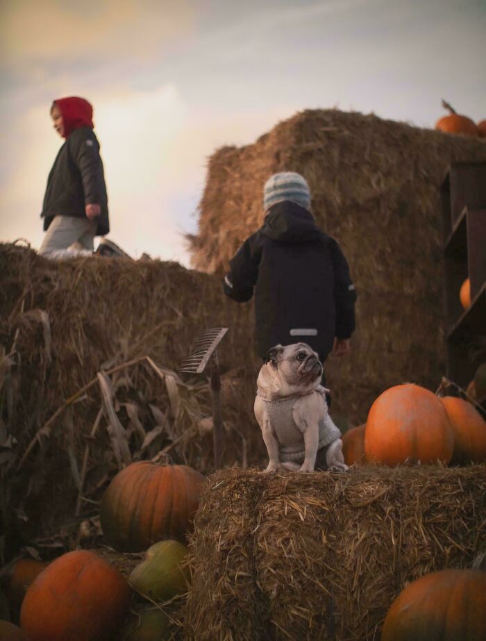 111 Times People Took A Photograph Only To Realize They’d Captured A Renaissance Masterpiece (New Pics) 111 Times People Took A Photograph Only To Realize They’d Captured A Renaissance Masterpiece (New Pics)