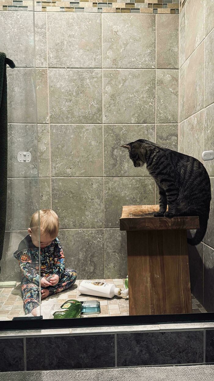 111 Times People Took A Photograph Only To Realize They’d Captured A Renaissance Masterpiece (New Pics) 111 Times People Took A Photograph Only To Realize They’d Captured A Renaissance Masterpiece (New Pics)