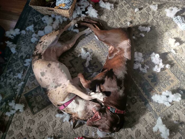 111 Times People Took A Photograph Only To Realize They’d Captured A Renaissance Masterpiece (New Pics) 111 Times People Took A Photograph Only To Realize They’d Captured A Renaissance Masterpiece (New Pics)