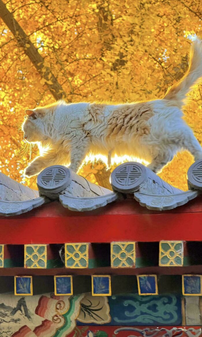 111 Times People Took A Photograph Only To Realize They’d Captured A Renaissance Masterpiece (New Pics) 111 Times People Took A Photograph Only To Realize They’d Captured A Renaissance Masterpiece (New Pics)