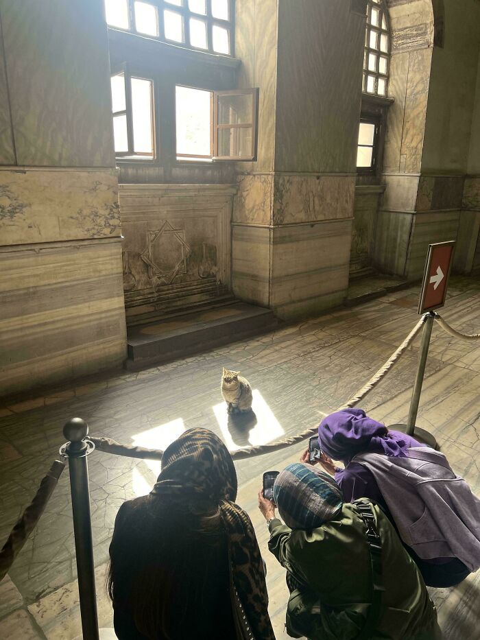 111 Times People Took A Photograph Only To Realize They’d Captured A Renaissance Masterpiece (New Pics) 111 Times People Took A Photograph Only To Realize They’d Captured A Renaissance Masterpiece (New Pics)