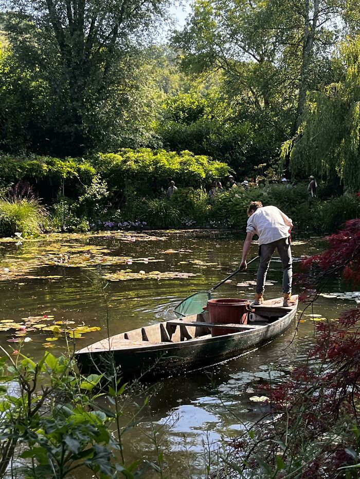 111 Times People Took A Photograph Only To Realize They’d Captured A Renaissance Masterpiece (New Pics) 111 Times People Took A Photograph Only To Realize They’d Captured A Renaissance Masterpiece (New Pics)