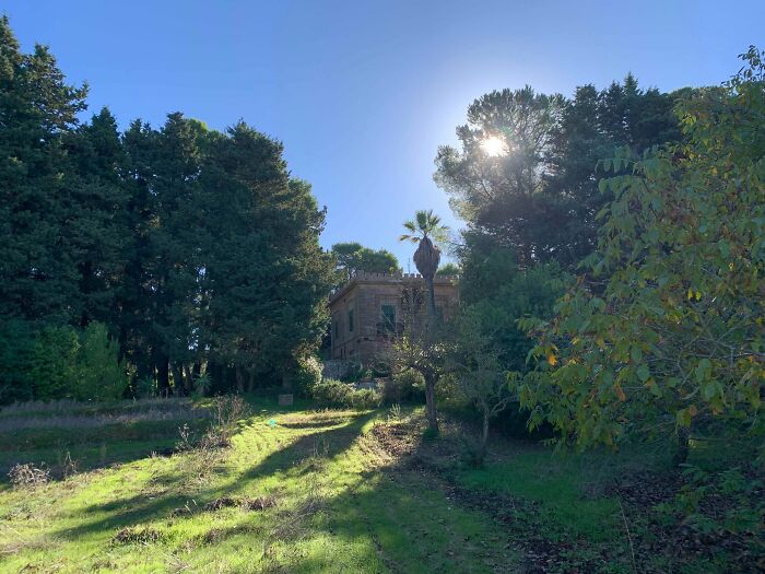 115 Antique Finds So Amazing You Might Get Really Jealous (New Pics) 115 Antique Finds So Amazing You Might Get Really Jealous (New Pics)