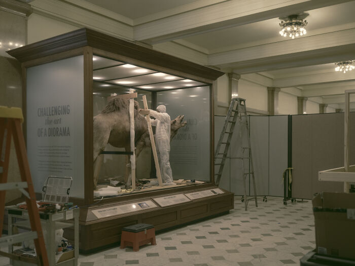 20 Strangely Beautiful Photos Of Abandoned And Active Industrial Giants