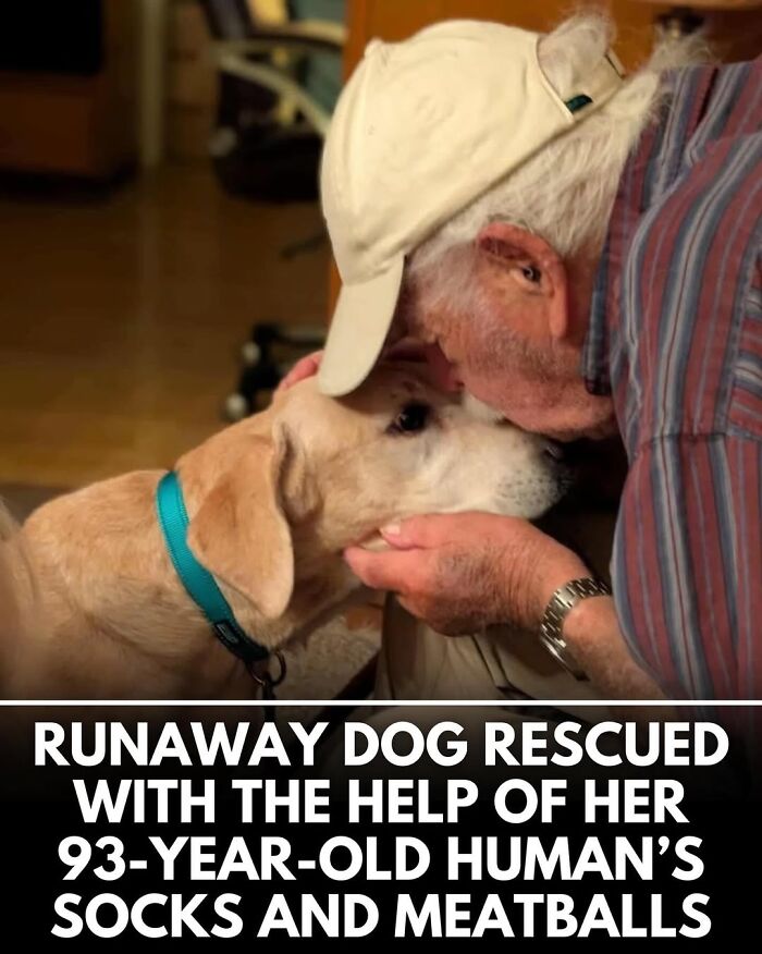 50 Incredible Stories Shared By ‘We Rate Dogs’ That Might Make You Laugh And Cry 50 Incredible Stories Shared By ‘We Rate Dogs’ That Might Make You Laugh And Cry