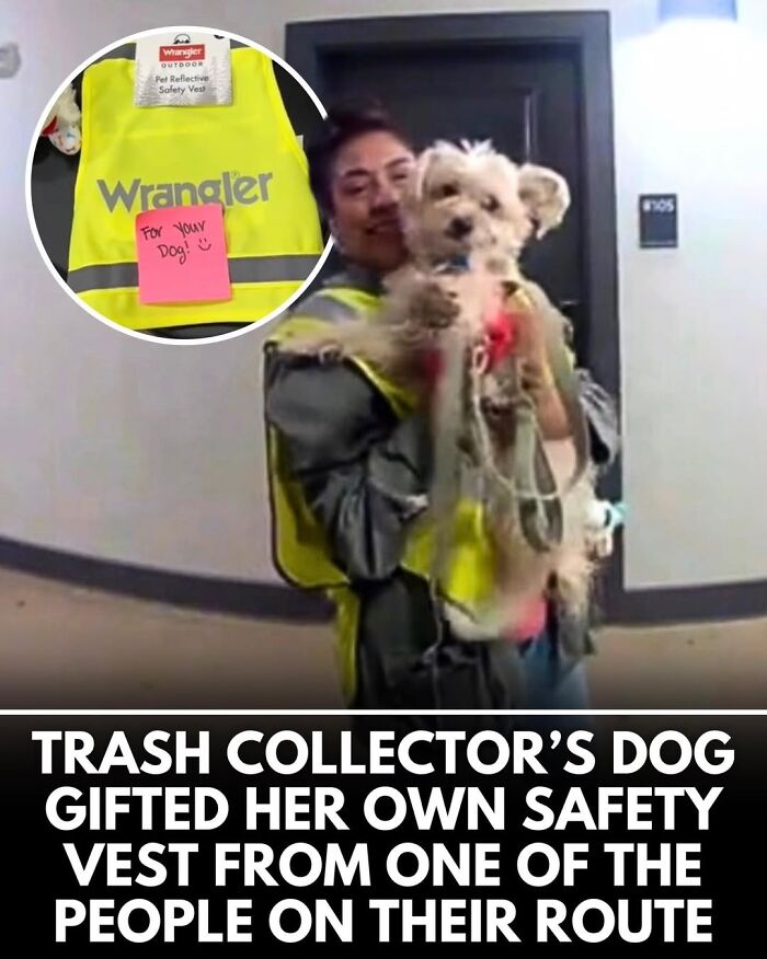 50 Incredible Stories Shared By ‘We Rate Dogs’ That Might Make You Laugh And Cry 50 Incredible Stories Shared By ‘We Rate Dogs’ That Might Make You Laugh And Cry