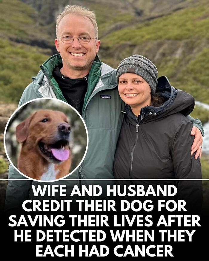 50 Incredible Stories Shared By ‘We Rate Dogs’ That Might Make You Laugh And Cry 50 Incredible Stories Shared By ‘We Rate Dogs’ That Might Make You Laugh And Cry