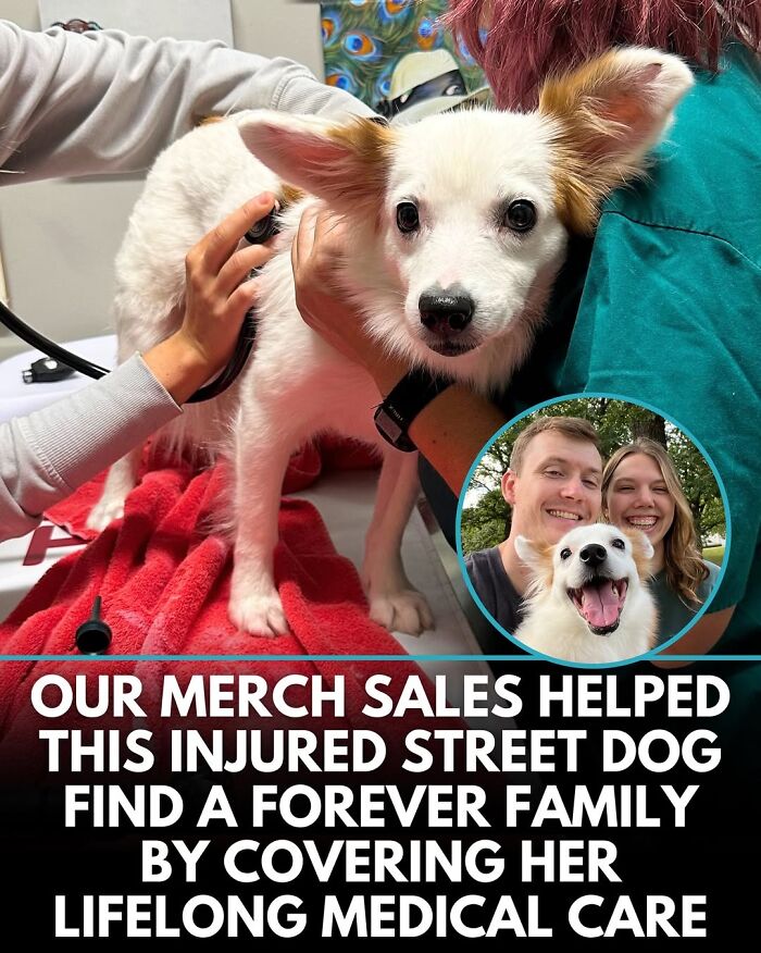 50 Incredible Stories Shared By ‘We Rate Dogs’ That Might Make You Laugh And Cry 50 Incredible Stories Shared By ‘We Rate Dogs’ That Might Make You Laugh And Cry