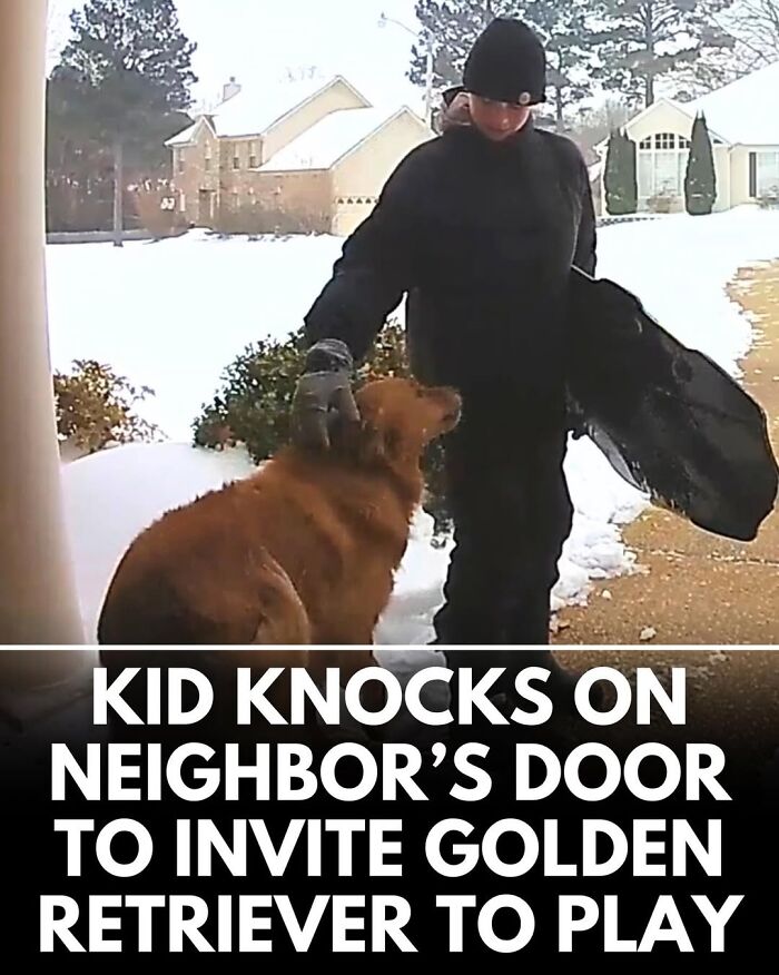 50 Incredible Stories Shared By ‘We Rate Dogs’ That Might Make You Laugh And Cry 50 Incredible Stories Shared By ‘We Rate Dogs’ That Might Make You Laugh And Cry