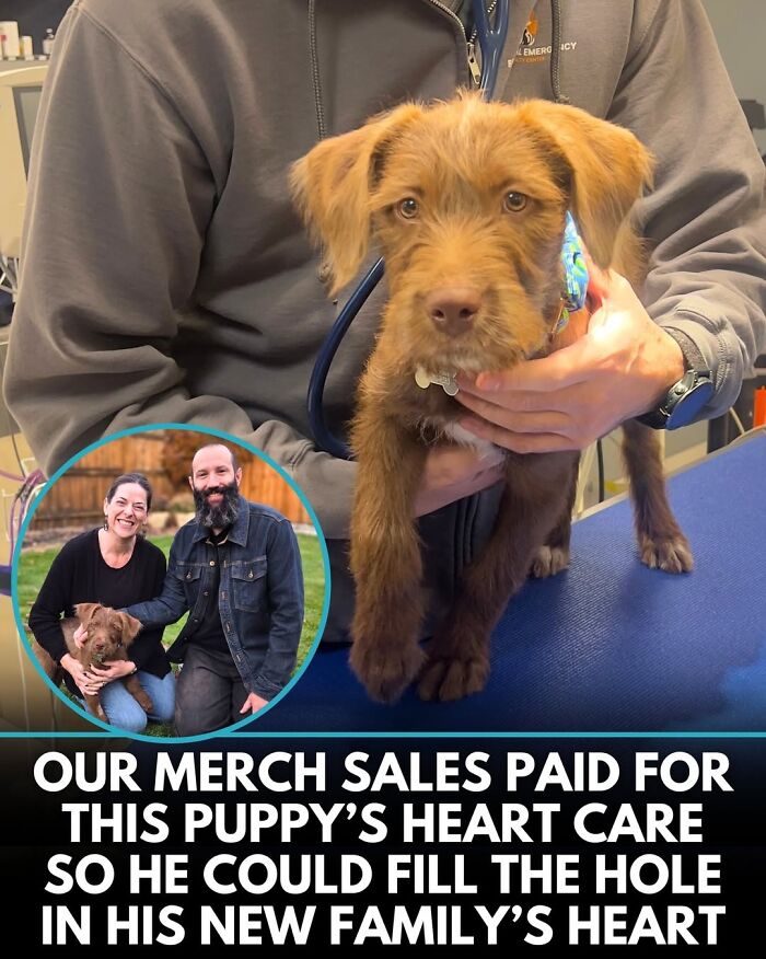 50 Incredible Stories Shared By ‘We Rate Dogs’ That Might Make You Laugh And Cry 50 Incredible Stories Shared By ‘We Rate Dogs’ That Might Make You Laugh And Cry