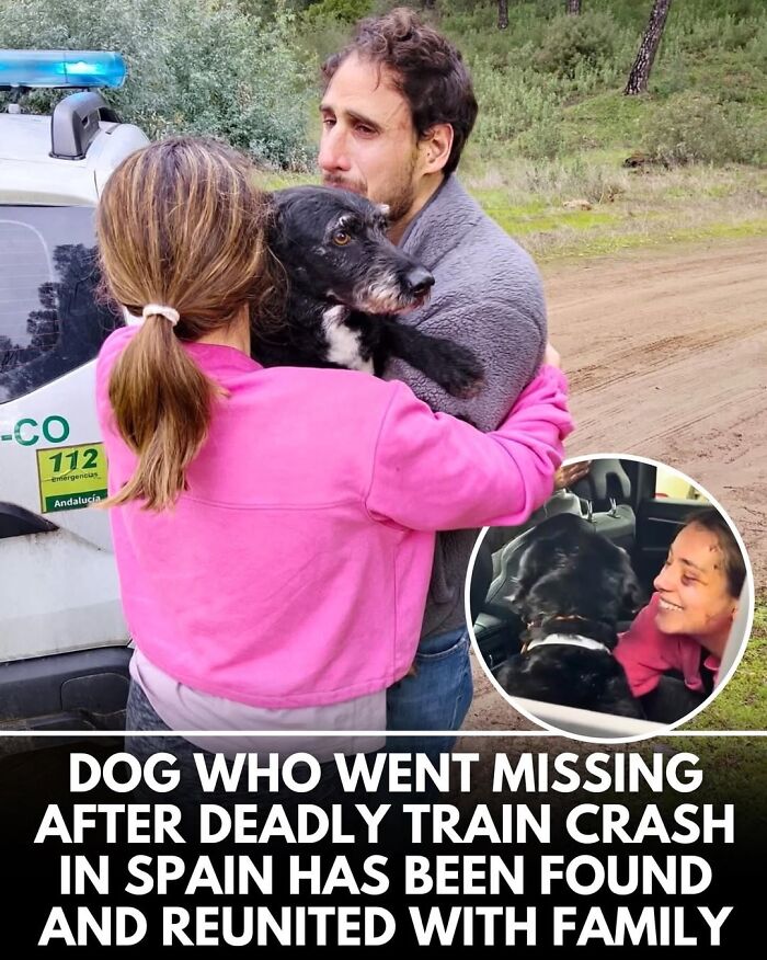 50 Incredible Stories Shared By ‘We Rate Dogs’ That Might Make You Laugh And Cry 50 Incredible Stories Shared By ‘We Rate Dogs’ That Might Make You Laugh And Cry