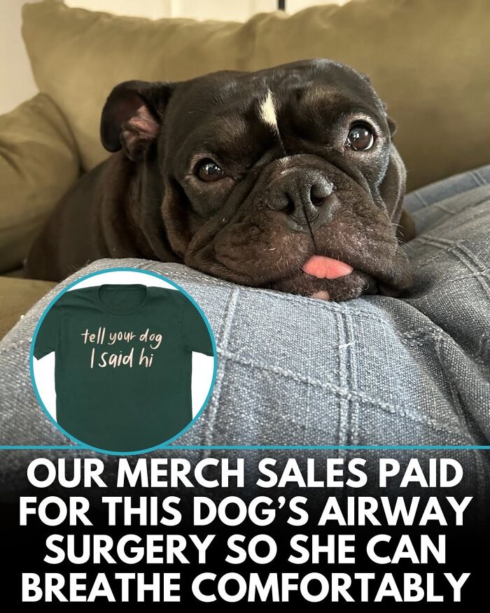 50 Incredible Stories Shared By ‘We Rate Dogs’ That Might Make You Laugh And Cry 50 Incredible Stories Shared By ‘We Rate Dogs’ That Might Make You Laugh And Cry