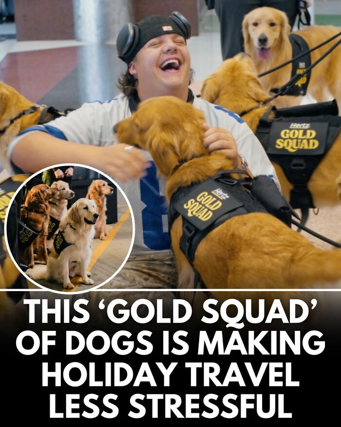 50 Incredible Stories Shared By ‘We Rate Dogs’ That Might Make You Laugh And Cry 50 Incredible Stories Shared By ‘We Rate Dogs’ That Might Make You Laugh And Cry