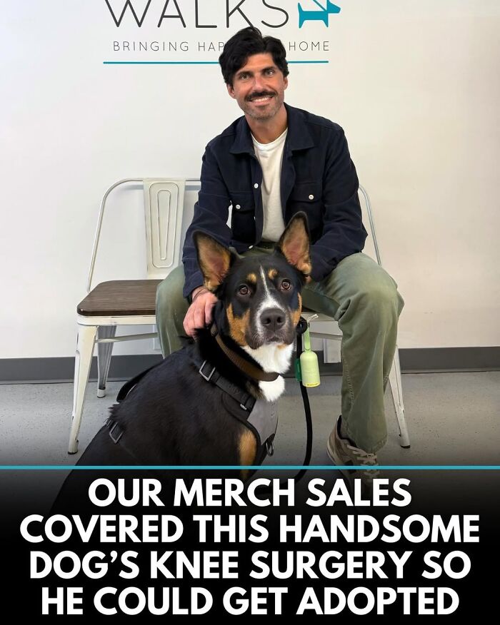 50 Incredible Stories Shared By ‘We Rate Dogs’ That Might Make You Laugh And Cry 50 Incredible Stories Shared By ‘We Rate Dogs’ That Might Make You Laugh And Cry