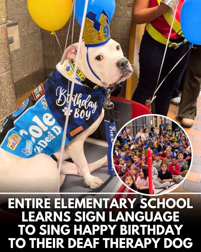 50 Incredible Stories Shared By ‘We Rate Dogs’ That Might Make You Laugh And Cry 50 Incredible Stories Shared By ‘We Rate Dogs’ That Might Make You Laugh And Cry