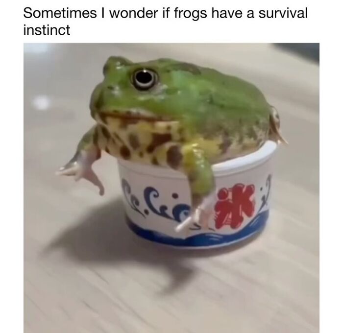 This Instagram Page Shares 50 Wholesome Animal Memes That Are Pure Serotonin This Instagram Page Shares 50 Wholesome Animal Memes That Are Pure Serotonin