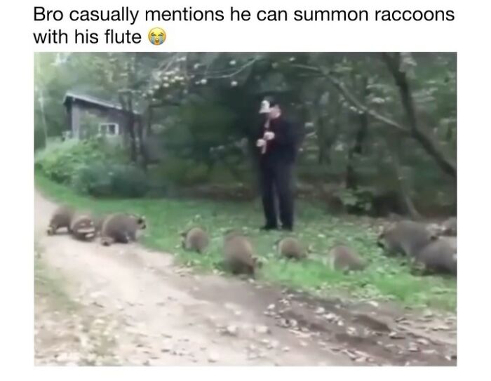 This Instagram Page Shares 50 Wholesome Animal Memes That Are Pure Serotonin This Instagram Page Shares 50 Wholesome Animal Memes That Are Pure Serotonin