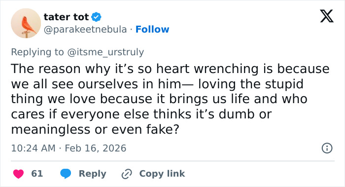 Primatologists Explain Why Punch’s Mother Abandoned Him And Why He’s “Bullied” By Other Monkeys