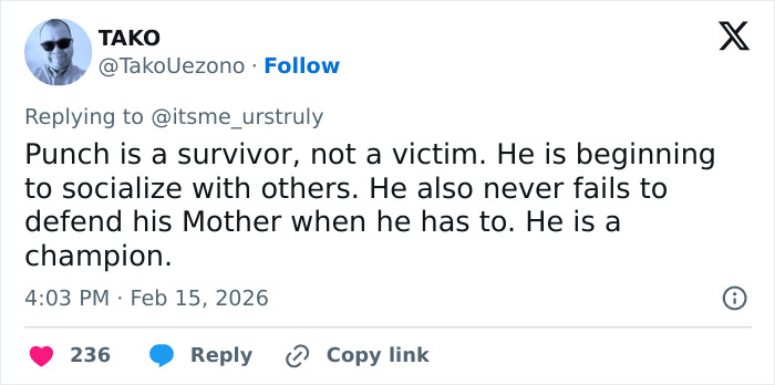 Primatologists Explain Why Punch’s Mother Abandoned Him And Why He’s “Bullied” By Other Monkeys