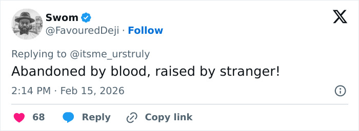 Primatologists Explain Why Punch’s Mother Abandoned Him And Why He’s “Bullied” By Other Monkeys