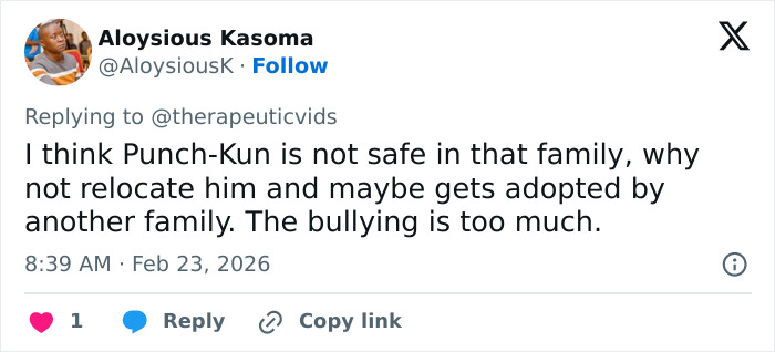 Primatologists Explain Why Punch’s Mother Abandoned Him And Why He’s “Bullied” By Other Monkeys