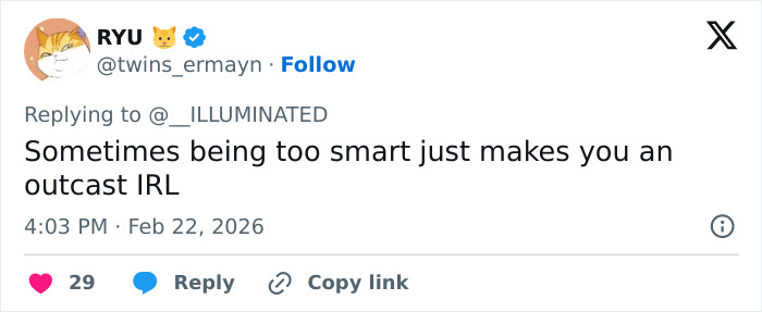 Primatologists Explain Why Punch’s Mother Abandoned Him And Why He’s “Bullied” By Other Monkeys