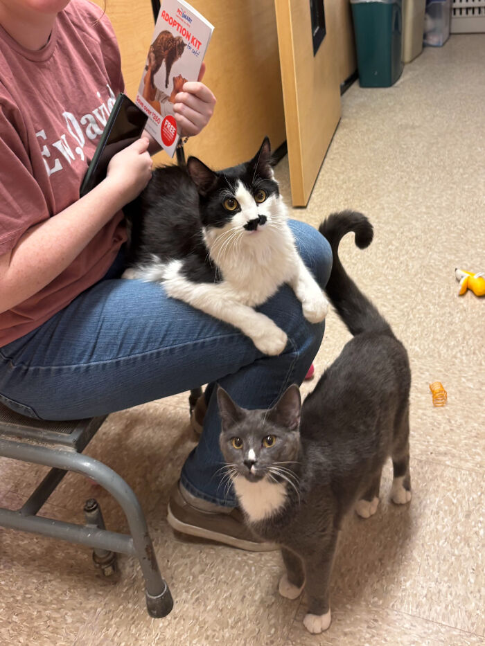 107 Adorable Pictures Of Animals That Are Bound To Lift Your Spirits And Make You Say “Aww”