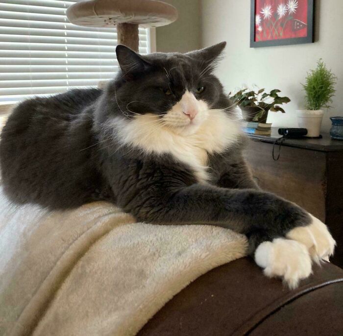 107 Adorable Pictures Of Animals That Are Bound To Lift Your Spirits And Make You Say “Aww”