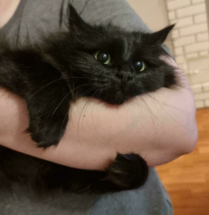 107 Adorable Pictures Of Animals That Are Bound To Lift Your Spirits And Make You Say “Aww”