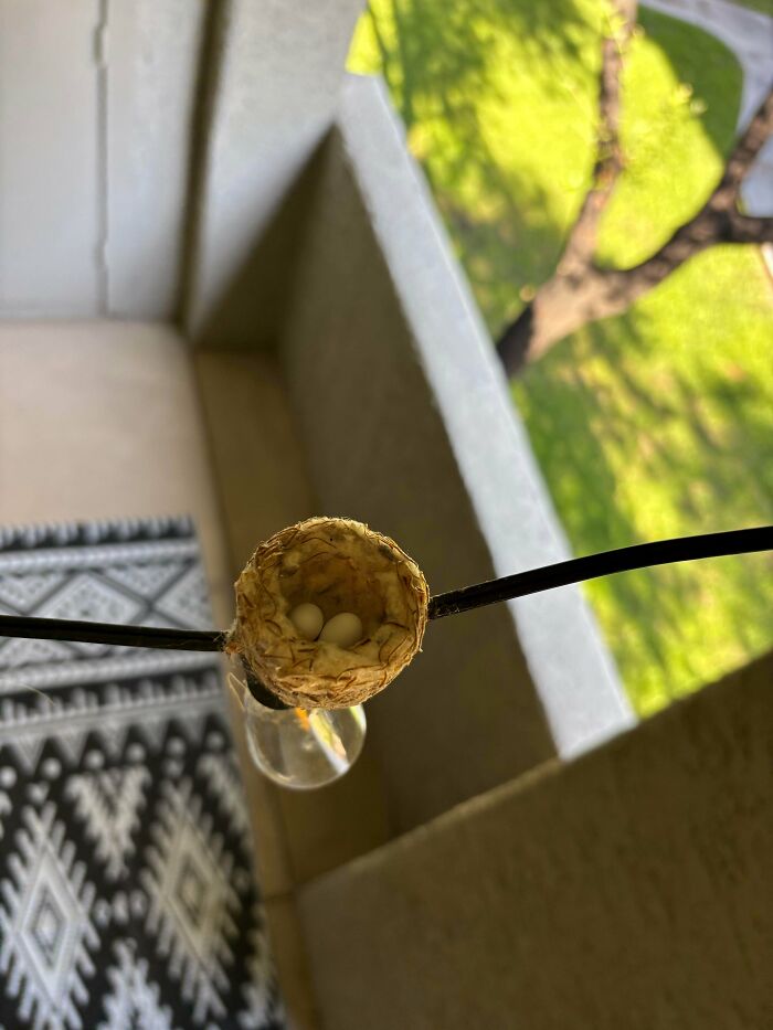 107 Adorable Pictures Of Animals That Are Bound To Lift Your Spirits And Make You Say “Aww”