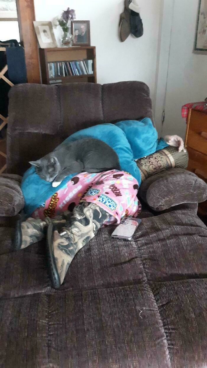 107 Adorable Pictures Of Animals That Are Bound To Lift Your Spirits And Make You Say “Aww”