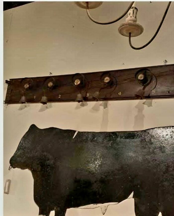 93 Disturbing And Weird Things Found In Homes That Were Abandoned Or Forgotten (New Pics)