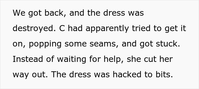 Teen Claims Her Dad &ldquo;Ruined Her Future&rdquo; After Making Her Pay For The Wedding Dress She Destroyed