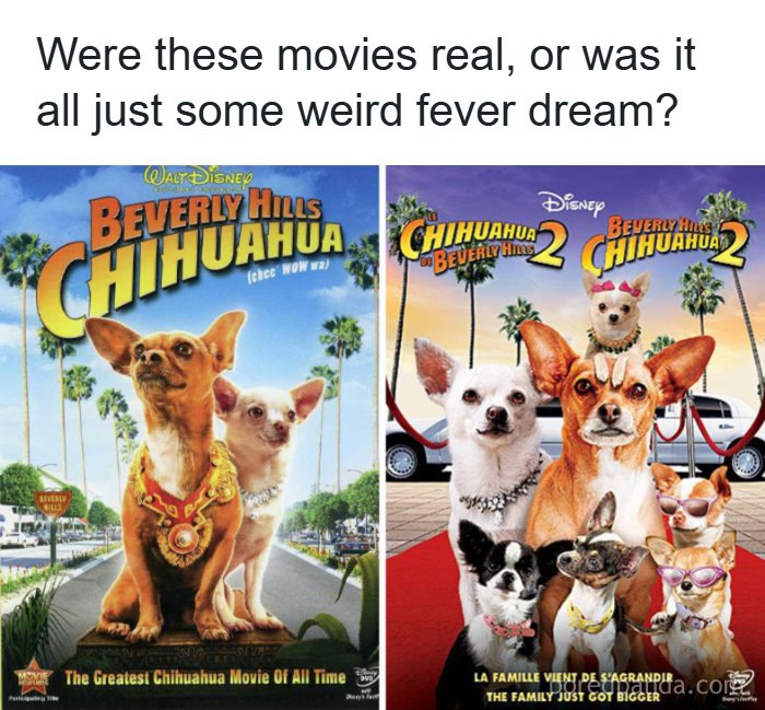 75 Posts That You Might Resonate With If You&rsquo;re Deeply Attached To The 1990s And 2000s