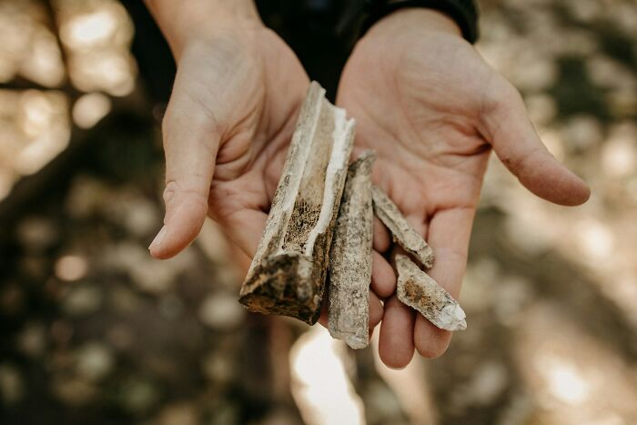 &ldquo;A Female Egyptian Priest&rdquo;: 47 Archeological Discoveries That Are Not Widely Spoken About