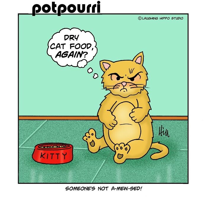 30 Hilarious Comics From Laughing Hippo Studio That Explain What Your Cat Is Really Thinking