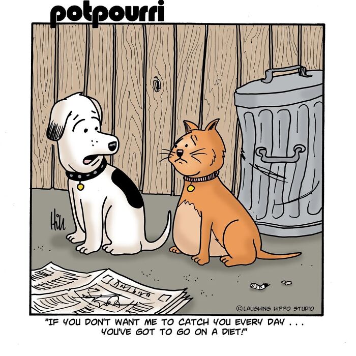 30 Hilarious Comics From Laughing Hippo Studio That Explain What Your Cat Is Really Thinking