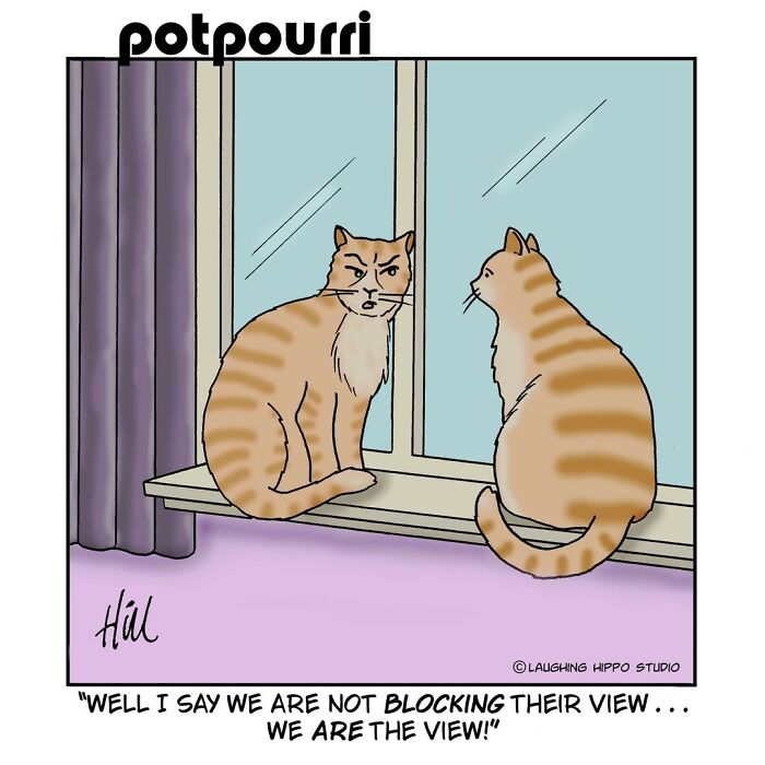 30 Hilarious Comics From Laughing Hippo Studio That Explain What Your Cat Is Really Thinking