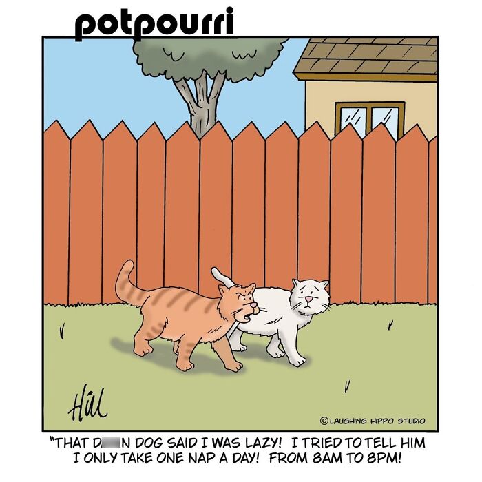 30 Hilarious Comics From Laughing Hippo Studio That Explain What Your Cat Is Really Thinking
