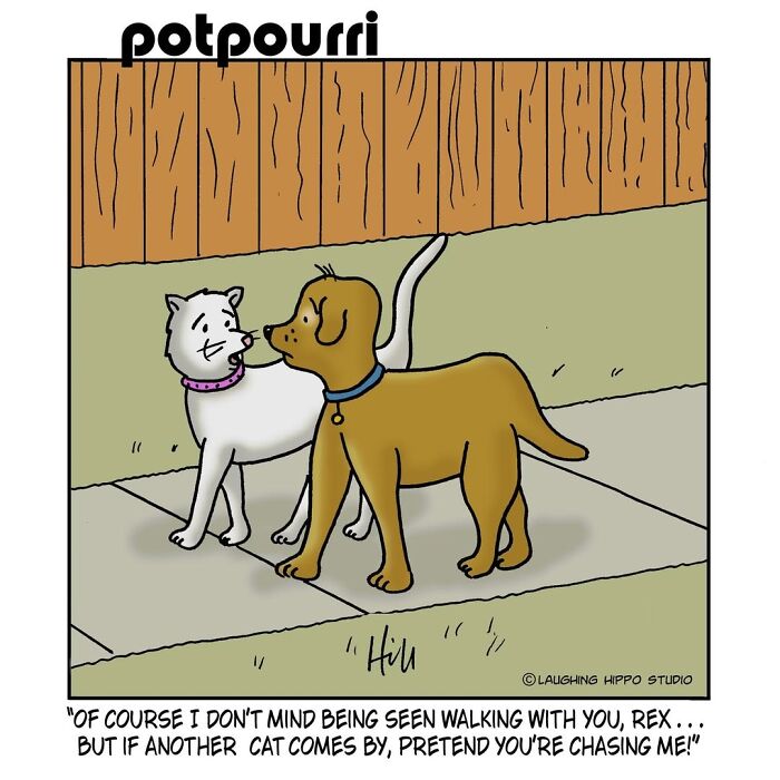 30 Hilarious Comics From Laughing Hippo Studio That Explain What Your Cat Is Really Thinking